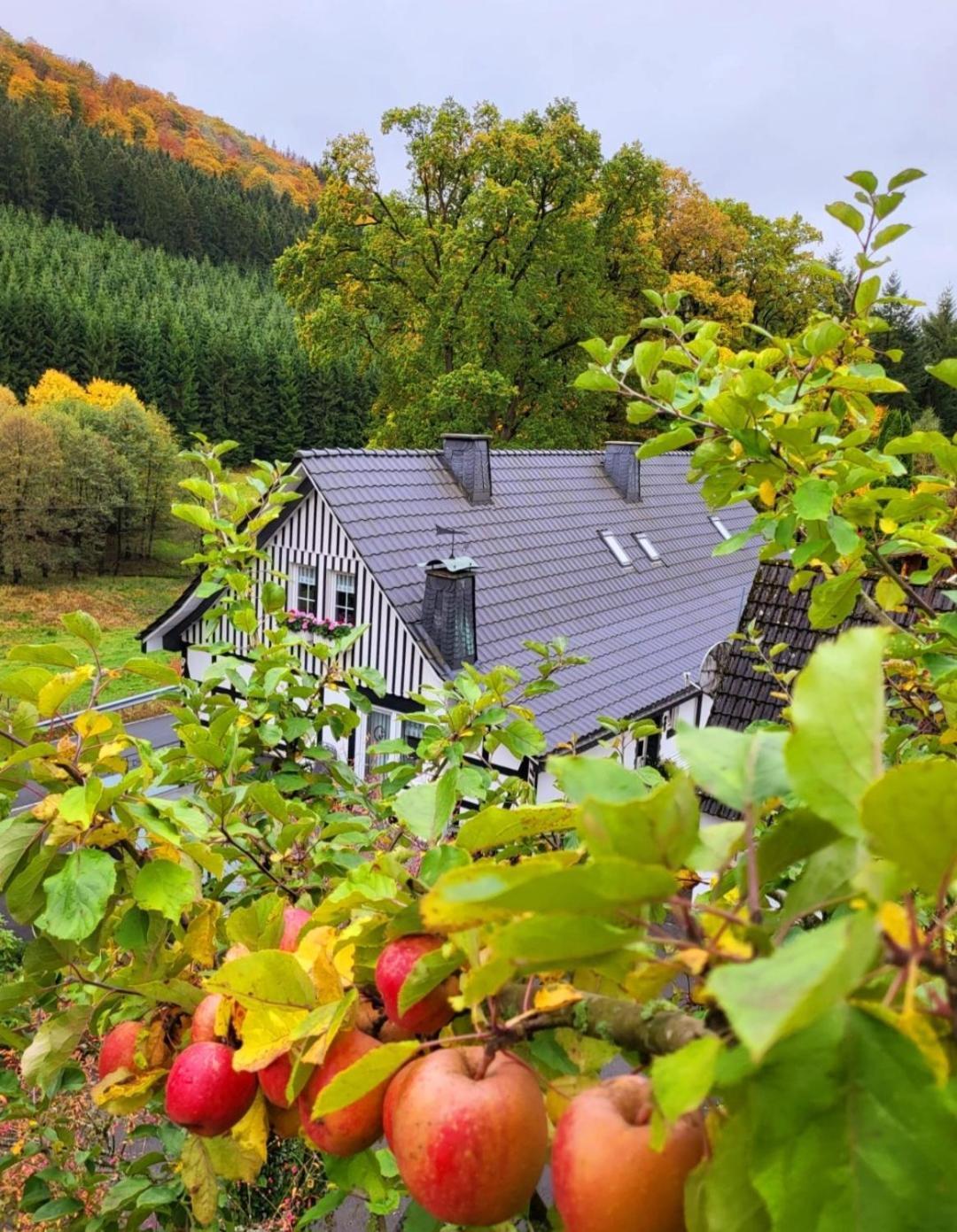 Ferienwohnung Kraehling Schmallenberg Exterior photo